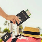 RFID Vintage Business Passport Holder