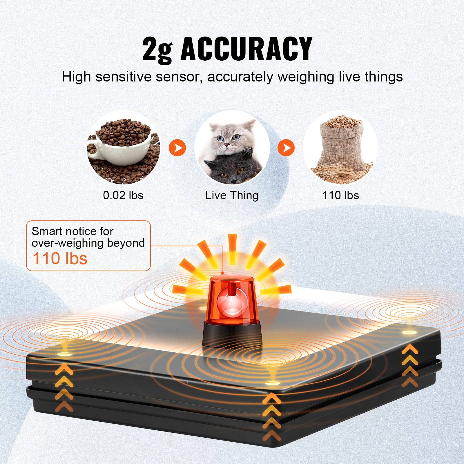 Digital Luggage Scale w/Timer
