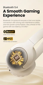 Haylou Noise Cancelling Earphones