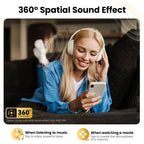 Haylou Noise Cancelling Earphones