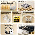 Haylou Noise Cancelling Earphones