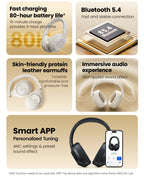 Haylou Noise Cancelling Earphones