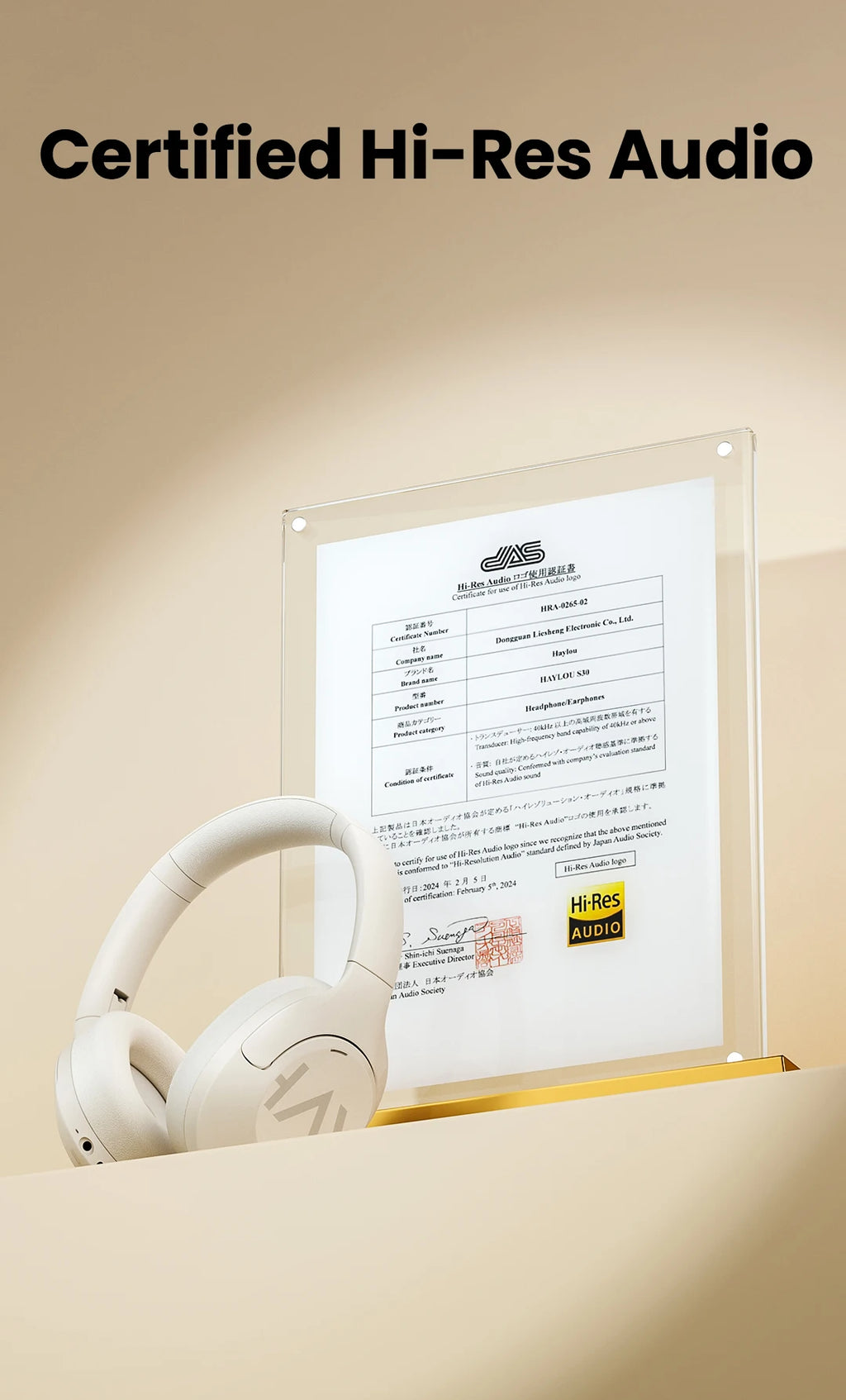 Haylou Noise Cancelling Earphones