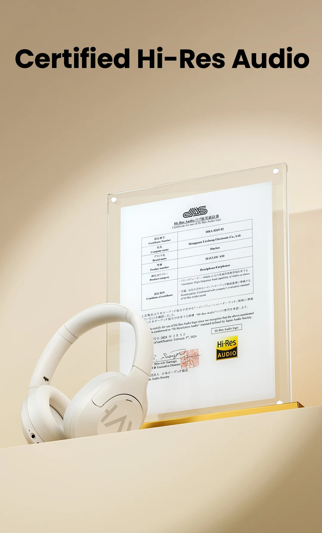 Haylou Noise Cancelling Earphones