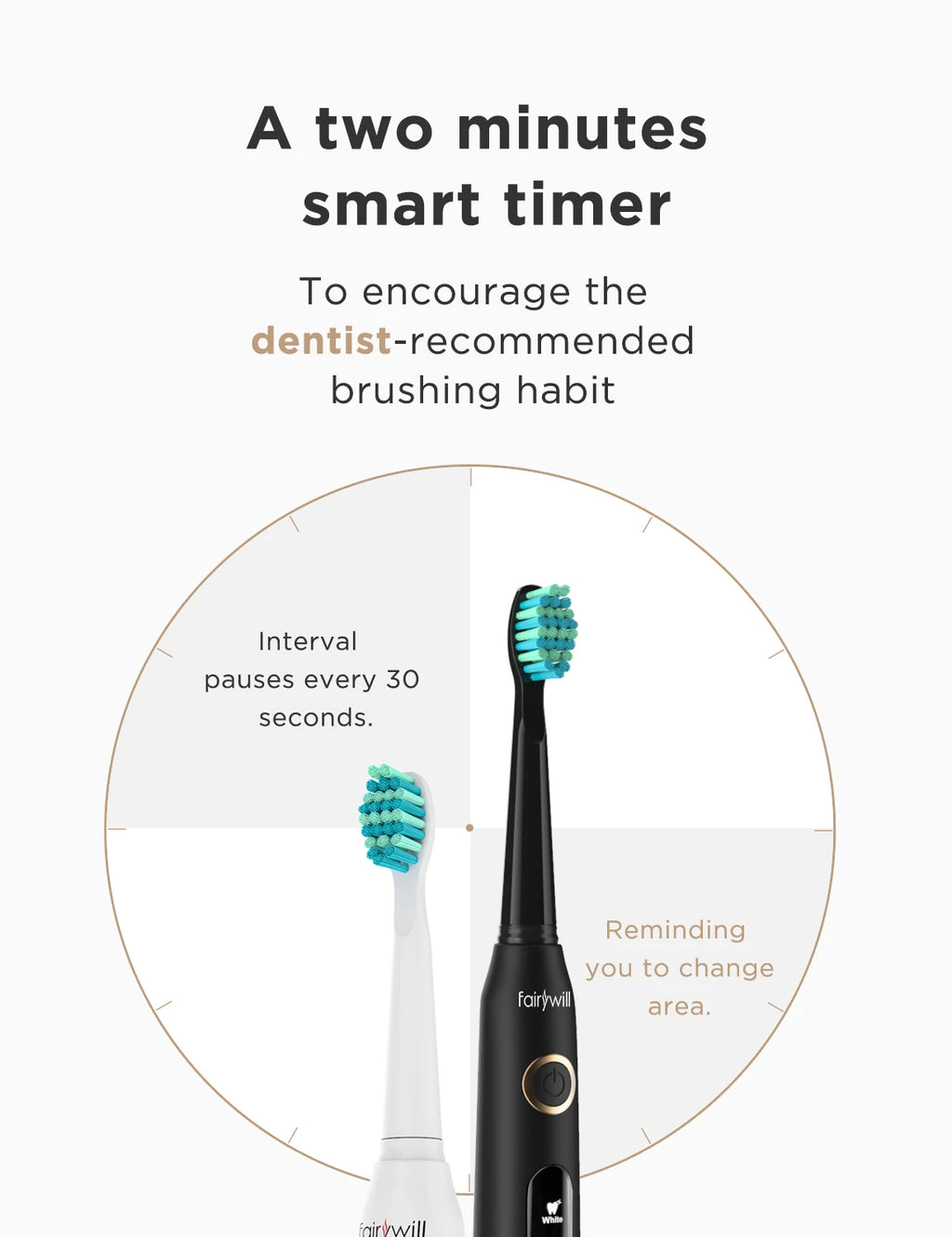 Sonic Electric Toothbrush