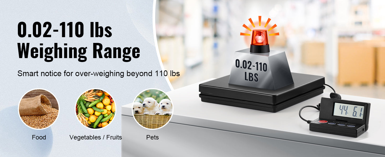 Digital Luggage Scale w/Timer