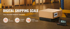 Digital Luggage Scale w/Timer